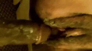 BlackedRaw: Hot MILF Syren இளம் கடினமான பிபிசியை PornHd இல் எடுக்கிறது