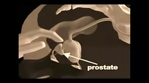 அனல் கிராவிங்ஸ் w ஹாட் அம்மா கேண்டீஸ் டேர்
